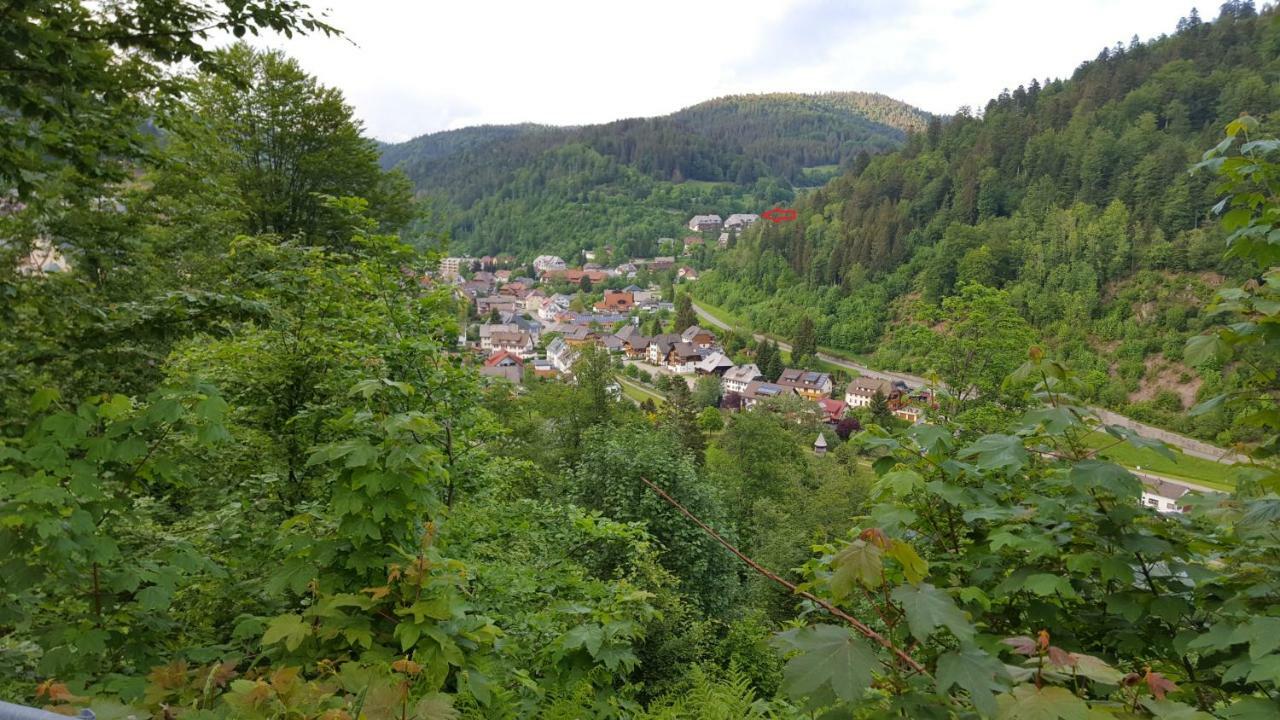 Ferienwohnung Im Schwarzwald Todtmoos Esterno foto