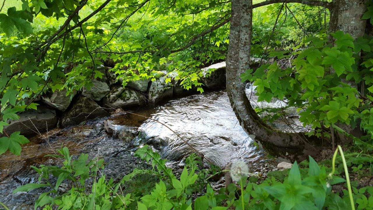 Ferienwohnung Im Schwarzwald Todtmoos Esterno foto